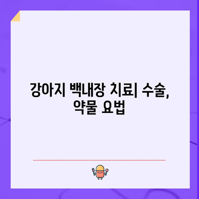 강아지 백내장 | 원인, 증상, 치료법
