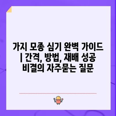 가지 모종 심기 완벽 가이드 | 간격, 방법, 재배 성공 비결