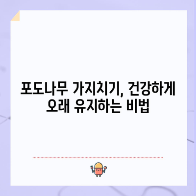 포도나무 가지치기 | 풍부한 수확을 위한 완벽한 가이드