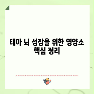 태아 뇌 발달에 필수적인 식품