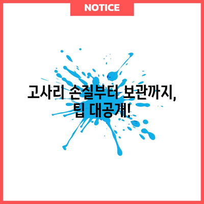 고사리의 5가지 효능과 맛있는 요리법