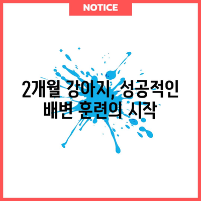 2개월 강아지 케어 가이드 | 사료, 밥 시간, 배변 훈련