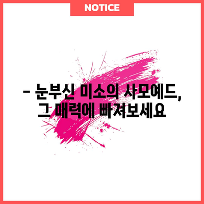 사모예드 소개 | 성격, 특징, 키우기 팁