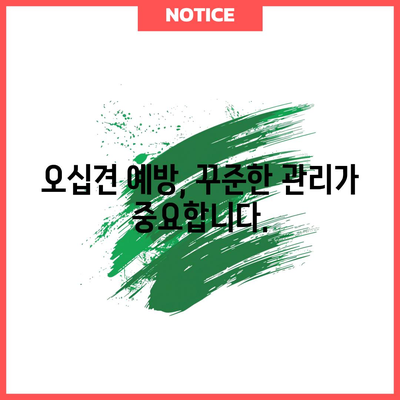 오십견 대처법 | 증상, 원인, 효과적인 치료 방법