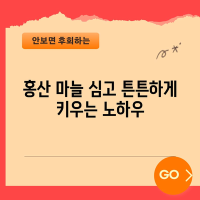 마늘 파종과 홍산 마늘 심기 | 시기와 팁
