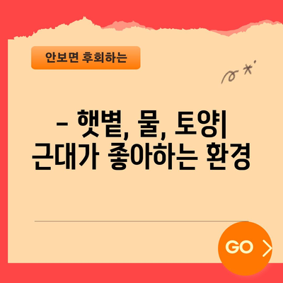 근대 재배 가이드 | 시기와 방법으로 올바르게 키우기