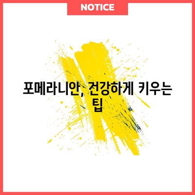 포메라니안 가이드 | 분양 가격, 성격, 입양 전 알아야 할 모든 것