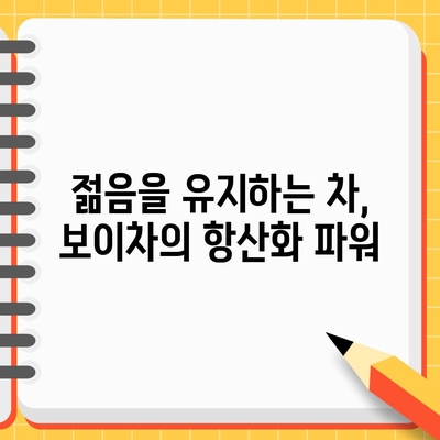 보이차, 건강한 피부와 몸을 위한 천연 해결책