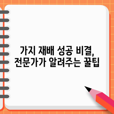 가지 모종 심기 완벽 가이드 | 간격, 방법, 재배 성공 비결