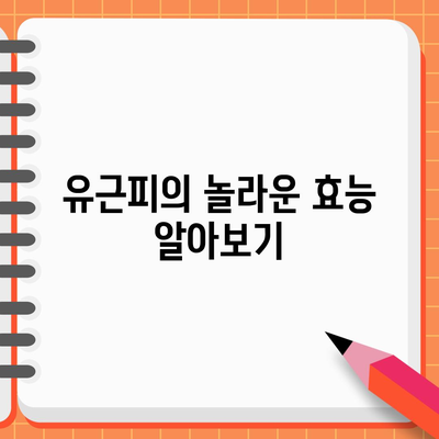 유근피의 6가지 놀라운 약효