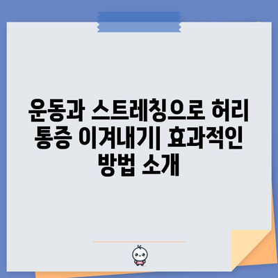 허리통증을 위한 종합 치료법 | 검증된 전략 총망라