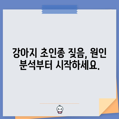 강아지 초인종 소리 짖는 문제 해결법