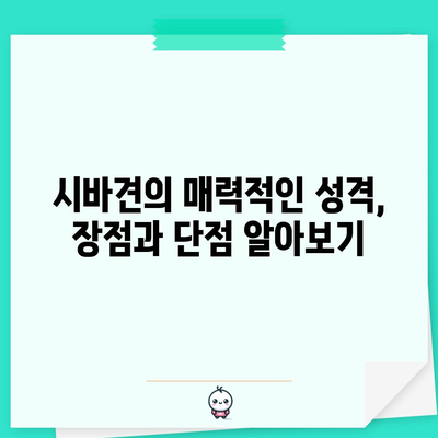 시바견의 진짜 성격 탐구