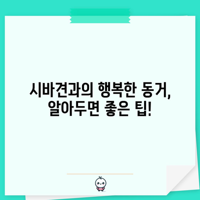 시바견의 진짜 성격 탐구