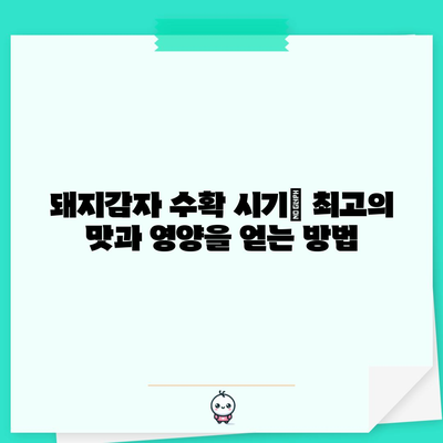 돼지감자 재배 완벽 가이드 | 파종, 수확, 심기 시기