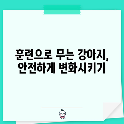무는 강아지 원인과 교정 훈련