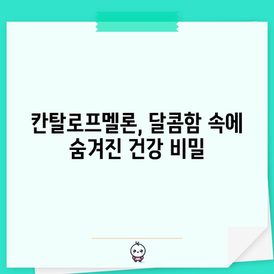 칸탈로프멜론의 숨겨진 효능 | 영양가 넘치는 여름 과일