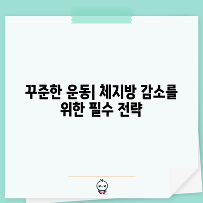 체지방을 효과적으로 줄이는 과학적 방법