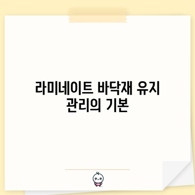 라미네이트 설치와 유지 보수 | 간단한 가이드