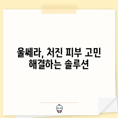 울쎄라 리프팅 | 놀라운 효과와 활용 방법