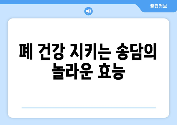 송담의 강력한 효능 | 호흡 건강에 필수