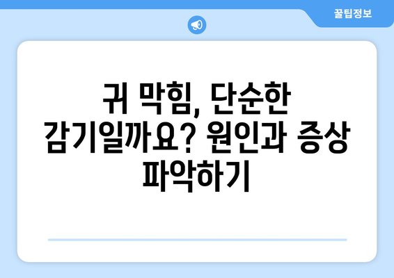 한쪽 귀가 막힌 증상과 원인