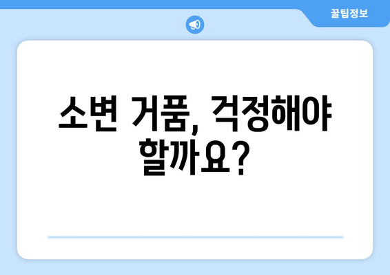 소변 거품의 원인과 경고 신호 | 질병 파악을 위한 가이드