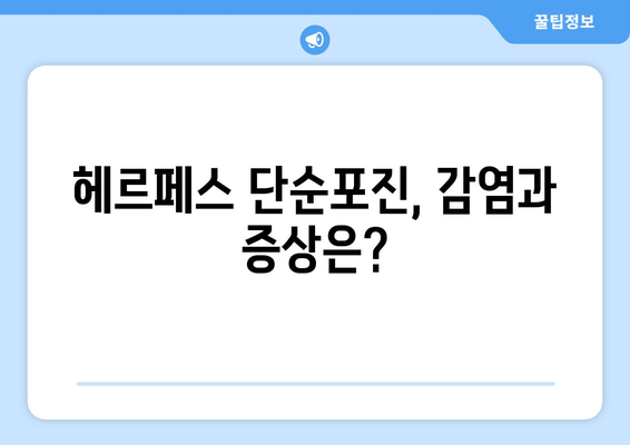 헤르페스 단순포진에 관한 모든 것