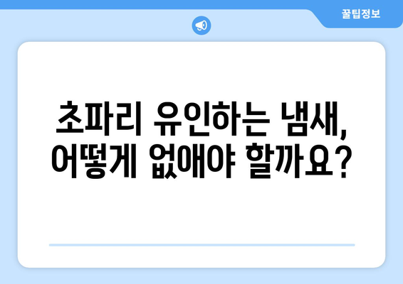 초파리 퇴치의 모든 것 | 효과적인 방법, 트랩 제작, 예방법