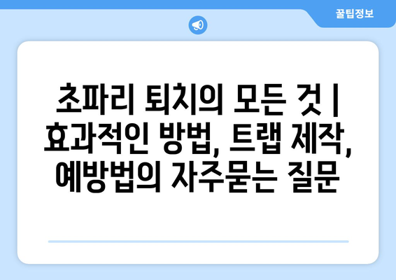 초파리 퇴치의 모든 것 | 효과적인 방법, 트랩 제작, 예방법