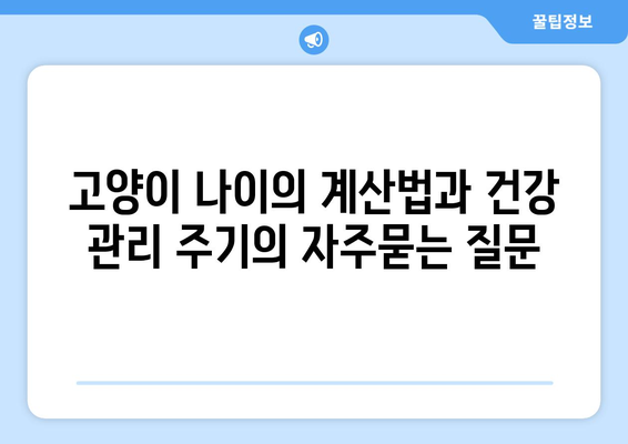 고양이 나이의 계산법과 건강 관리 주기