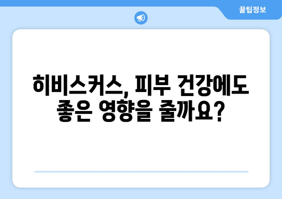 히비스커스의 다양한 건강 효능