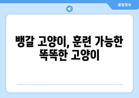 뱅갈 고양이의 성격과 관리 가이드