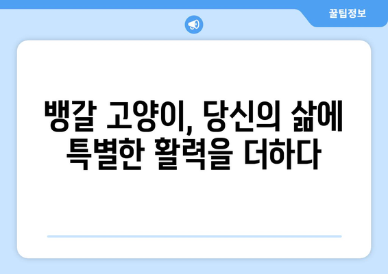 뱅갈 고양이의 성격과 관리 가이드