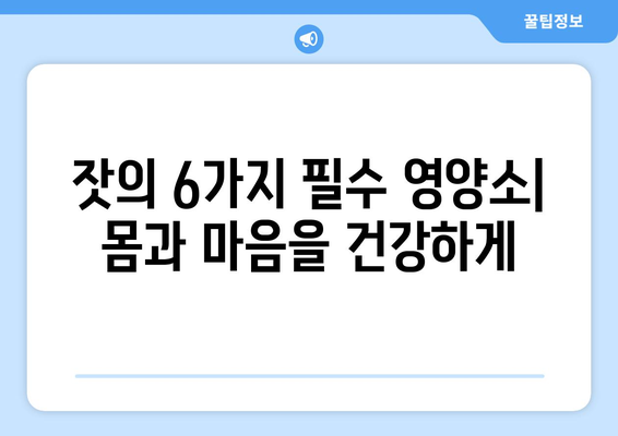 잣의 6가지 필수 영양소와 건강상 이점