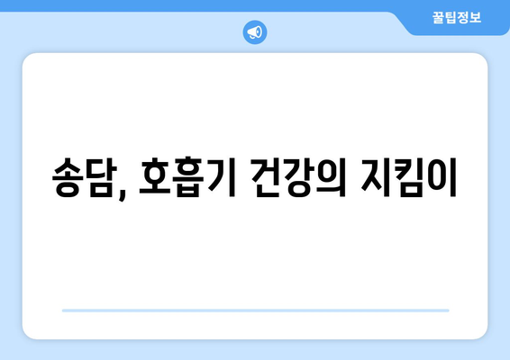 송담의 강력한 효능 | 호흡 건강에 필수