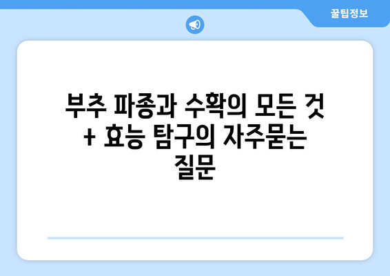 부추 파종과 수확의 모든 것 + 효능 탐구