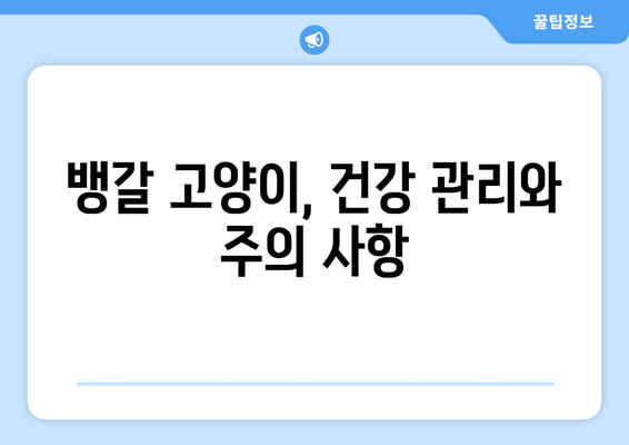 뱅갈 고양이의 성격과 관리 가이드