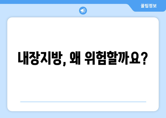 내장지방과 내장비만 탈출 가이드 | 효과적인 방법 모음