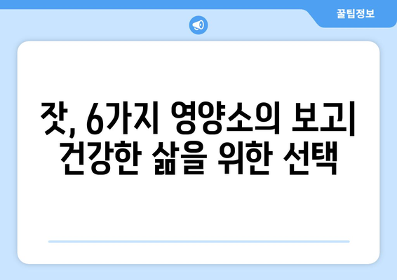 잣의 6가지 필수 영양소와 건강상 이점