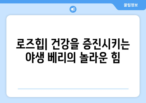 로즈힙 | 건강을 증진시키는 야생 베리의 놀라운 힘