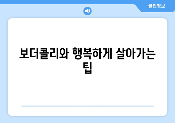 보더콜리의 성격과 키우는 요령