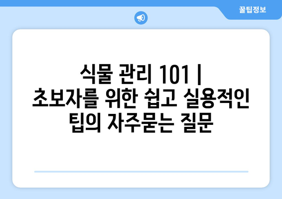 식물 관리 101 | 초보자를 위한 쉽고 실용적인 팁