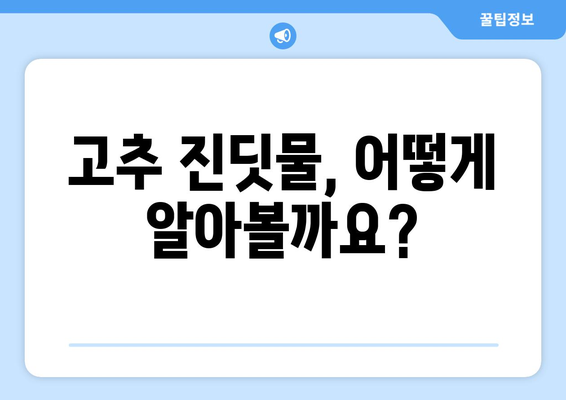 고추 진딧물 철저히 없애기 | 효과적인 대처법