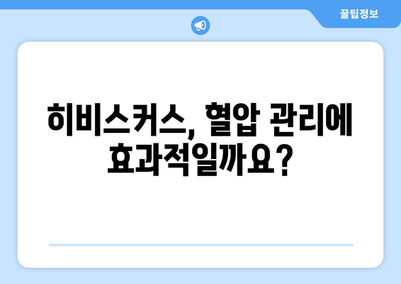 히비스커스의 다양한 건강 효능