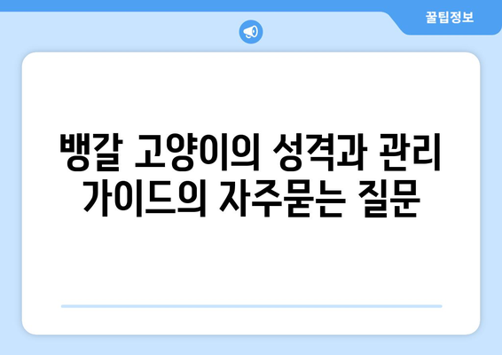 뱅갈 고양이의 성격과 관리 가이드