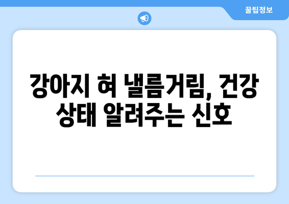 강아지가 혀를 낼름거리는 이해하기