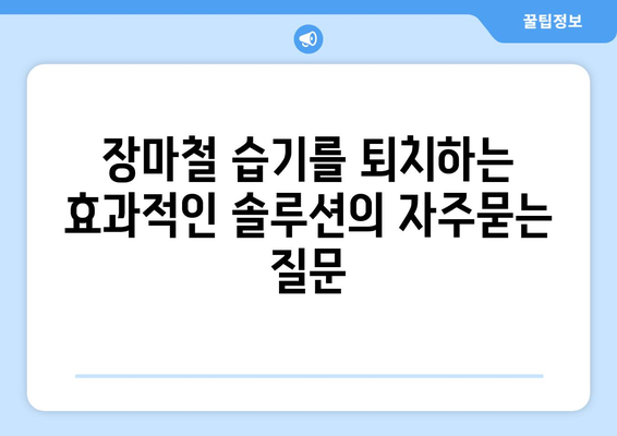 장마철 습기를 퇴치하는 효과적인 솔루션