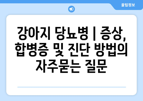 강아지 당뇨병 | 증상, 합병증 및 진단 방법