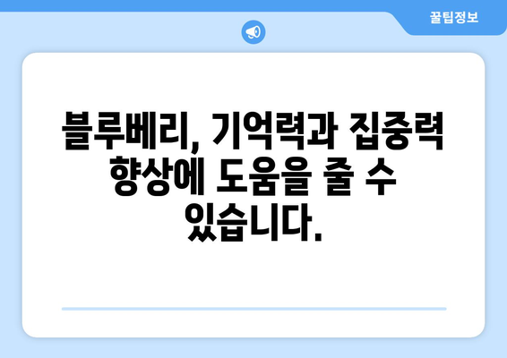 블루베리 | 뇌 건강과 전반적인 웰빙 향상